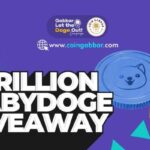 How Can You Win 1 Trillion BabyDoge Coins | CoinGabbar Givea…
